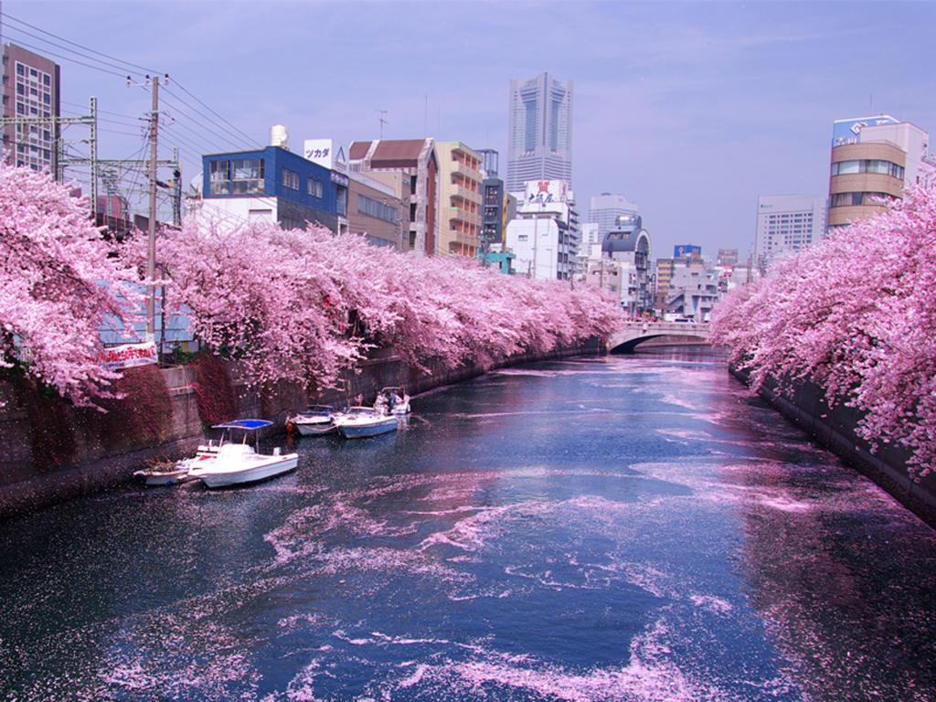 Guest House Futareno Yokohama  Luaran gambar